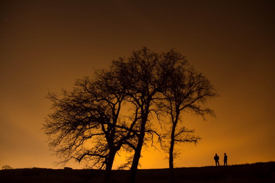 campo, arboles, nadie, atardecer, silueta, sombra, oscuro, arbol, naranja, cielo, ocaso, puesta de sol, dos personas, gente, hombre, rural, 
