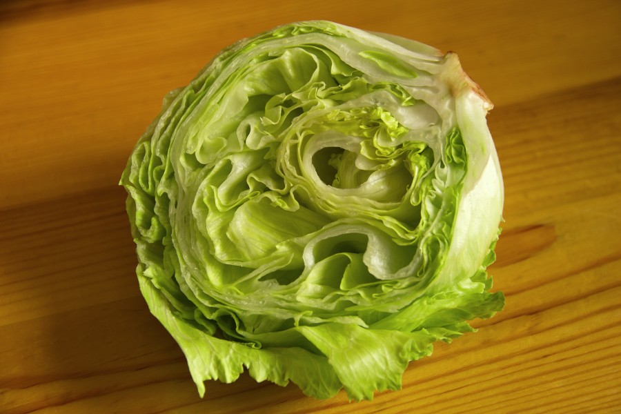 lechuga, verdura, vegetal, primer plano, mitad, cortado, 