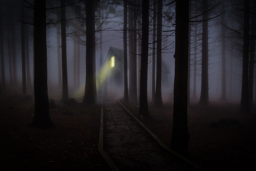 niebla, misterio, bosque, casa, tenebroso, halloween, luz, nadie, nocturno, noche, 