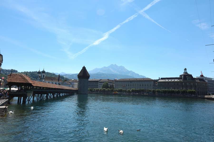 puente, edificios, lago, cisne, cisnes, suizo, lago suizo, suiza, árboles, agua