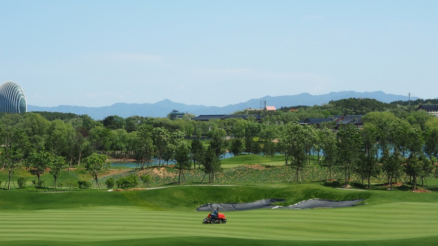campo, golf, cortadora de cesped, cesped, cortar, una persona, gente, hombre, actividad, exterior, 
