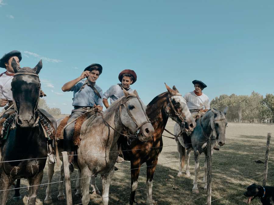 campo, personas, al aire libre, animal, naturaleza, vaquero, hombre, granja, mamífero, Argentina, America, gaucho, rural, paisaje, equino, equitación, sur, ecuestre, Entre rios, fondo, jinete, caballo, nacional, jinete, paseo , tradicion, obrero, disfraz, manada, peón, campo, trabajo, ganado, rancho, gente, Campo, Sudamerica, tradicional, Ganado domestico, lado de caballo, cultura, estable, bovino, agricultor, cerca, sombrero, agricultura, hombres, argentino , árbol
