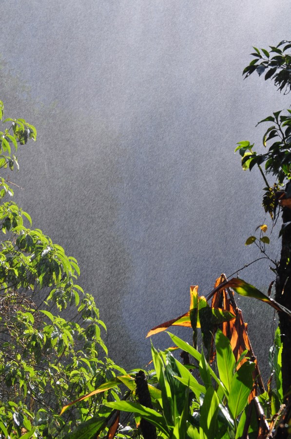 Argentina, Misiones, Iguazu, Parque Nacional, Cataratas del Iguazu, Brasil, Agua, Selva, Lugar turistico, Turismo, Humedad, Verde, Naturaleza, Llovizna, Vegetacion, 