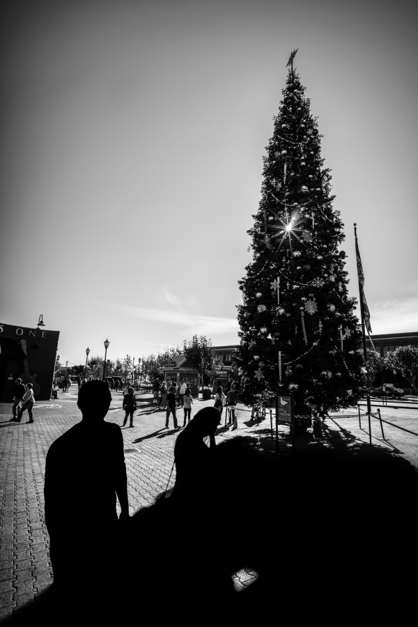blanco y negro, blanco y negro, california,, navidad, hombre, foto, fotografía, sombras, calle, sol, soleado, árboles, estados unidos cándidas, Voigtlander,