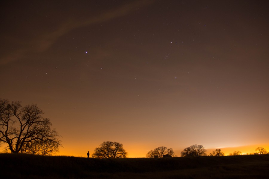 campo, arboles, atardecer, silueta, sombra, oscuro, arbol, naranja, cielo, ocaso, puesta de sol, una persona, gente, pequeño, diminuto, estrellas, paisaje, 