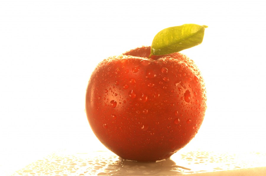 ciruela, fruta, fondo blanco, primer plano, fresco, 
