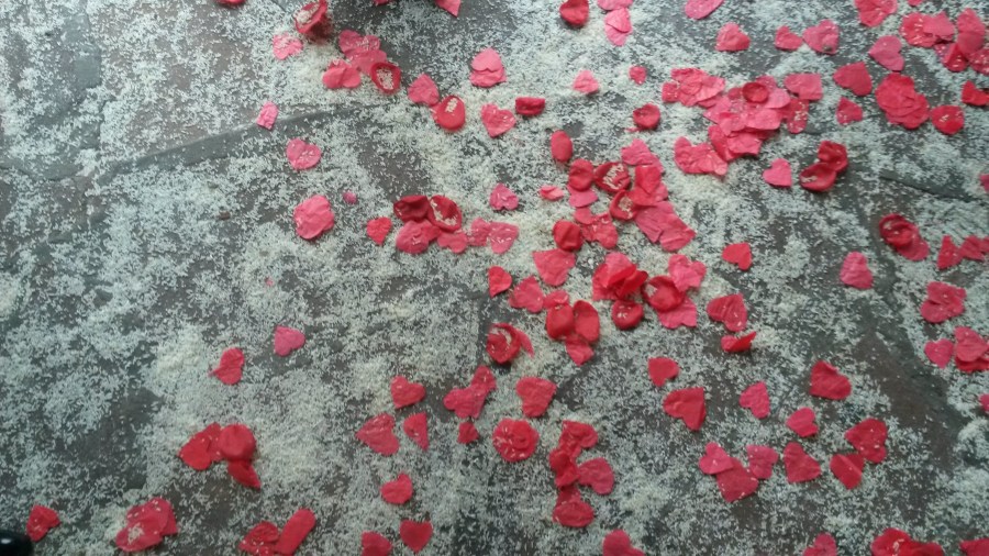 Casamiento, Petalos, Rosa, Arroz, Festejo, Civil, Evento, Concepto, Viva los Novios
