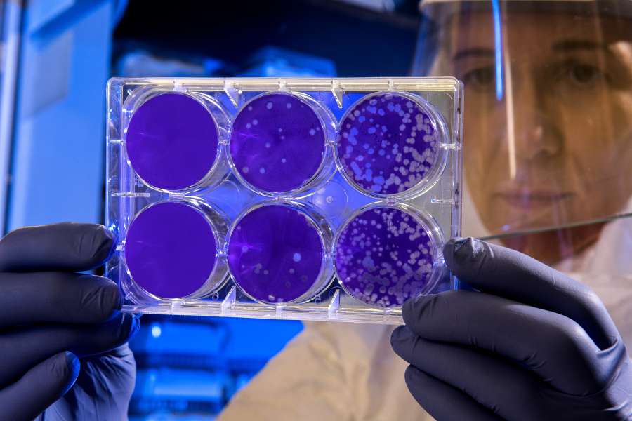 ciencia, medicina, investigación, médico, médico, personas, líquido, prueba, científico, laboratorio, trabajo, hombre, química, salud, laboratorio
