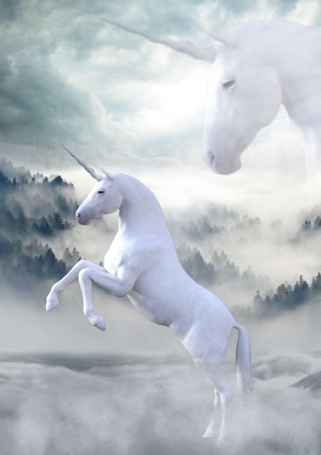 unicornio, hermoso, mitologia, tierno, unicornio para imprimir, fondo de pantalla de unicornio, unicornio animado, animales imagenes de unicornios infantiles, fondo de unicornio, imagenes de unicornios bonitos, dibujo de unicornio, unicornios a color, unicornios para colorear, imagenes de unicornios reales, unicornios kawaii,colorido,fondos de pantalla kawaii
