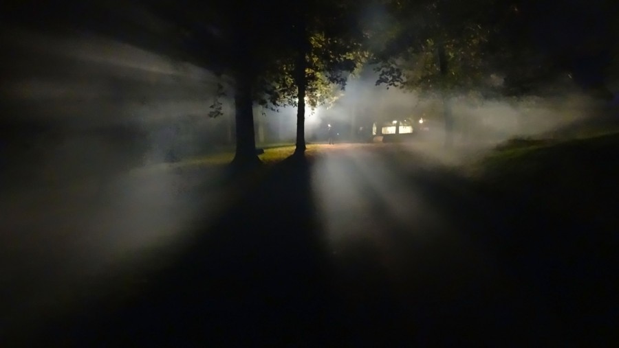 niebla, noche, nocturno, bosque, luz, mistico, esoterico, misterio, luz, ovni, miedo, nadie, aparicion, fantasma, desconocido, 