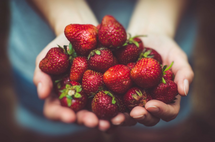 frutillas, manos,mujer, ofrecer, ofreciendo, frutas, rojo, cultivo, cosecha, concepto, dar, natural, manojo, mucho, fondos de pantalla 4k