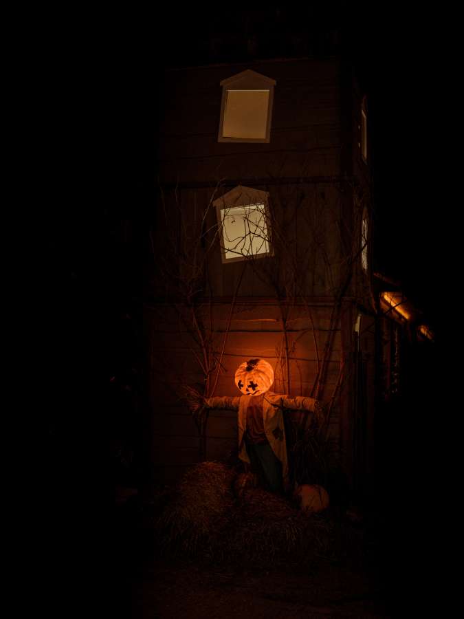 halloween, horror, fondo, fiesta, escalofriante, aterrador, noche, calabaza, celebración, oscuro, diseño, otoño, silueta, mal, miedo, negro, luna, tarjeta, vector, misterio, fiesta, murciélago, linterna, símbolo, pancarta, cartel, octubre, concepto, feliz, espeluznante, araña, completo, decoración, elemento, web, tratar, gráfico, naranja, cementerio, saludo, truco, art, tumba, fantasma, firmar, volante, invitación, cementerio,