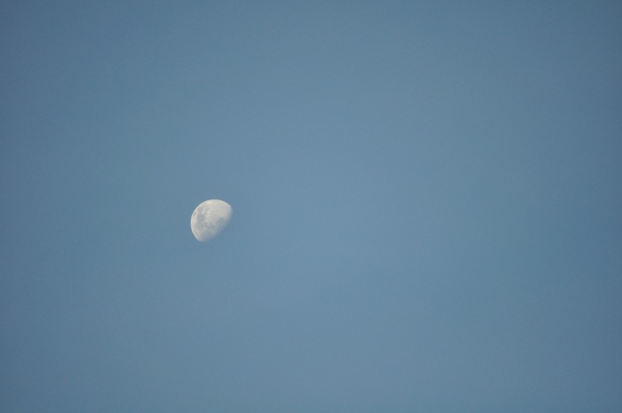cielo azul, luna, satelite, 