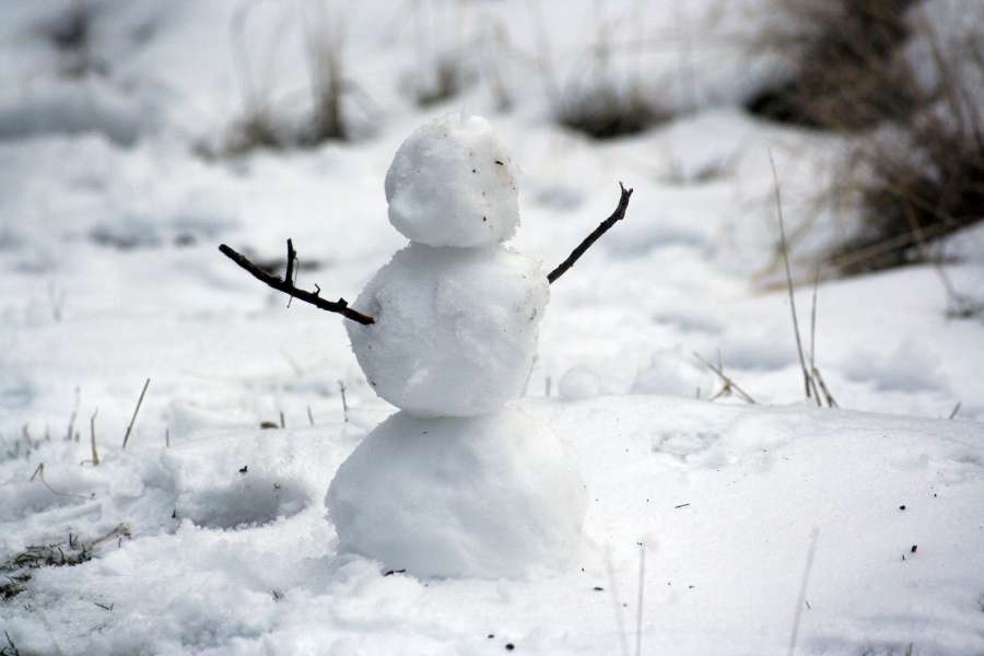 Celebracion, Navidad, diciembre, decoración, tradicion, Navidad, feliz, adornos, adornos navideños, copia espacio, decoracion navideña, Navidad, felicidad, estacional, hermoso, brillo, fondo, jardin, invierno, muñeco, nieve, 