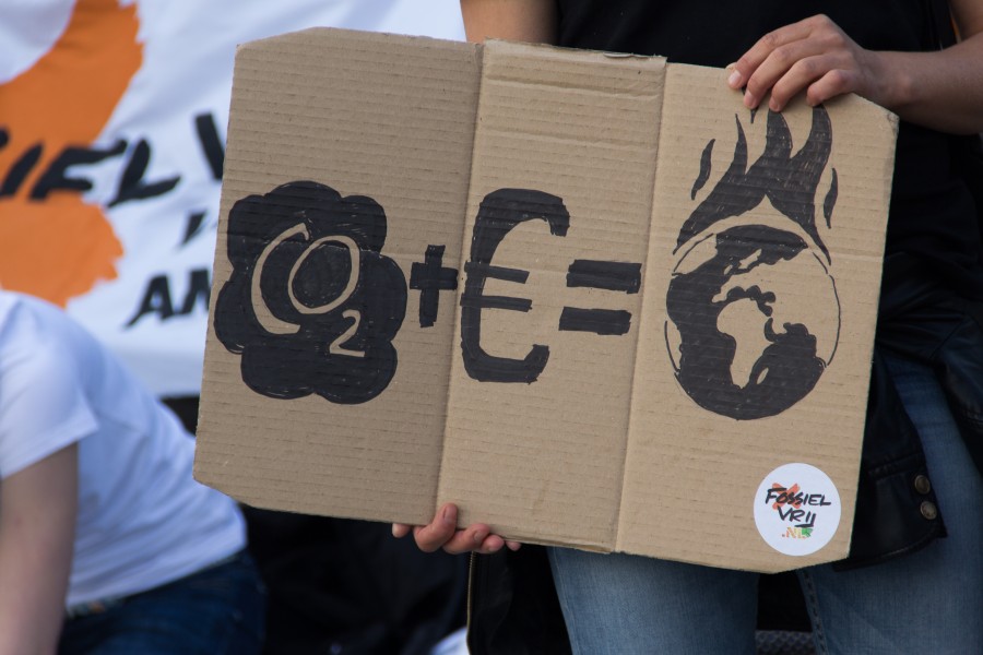 sustentabilidad, calentamiento global, conciencia social, social, cartel, dioxido de carbono, protesta, manifestacion, pancarta, manifestantes, activista, 