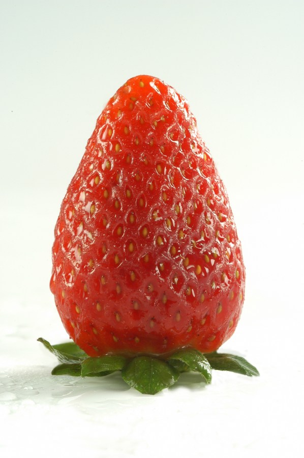 Fresa, Frutilla, frutas, Frutas, Fondo Blanco, Un objeto, Alimento, Rojo, Maduro, Detalle, Gourmet, Altas luces, Primer plano, Comida sana, Verde, Fruta Baya, Nadie, Comidas y Bebidas, 