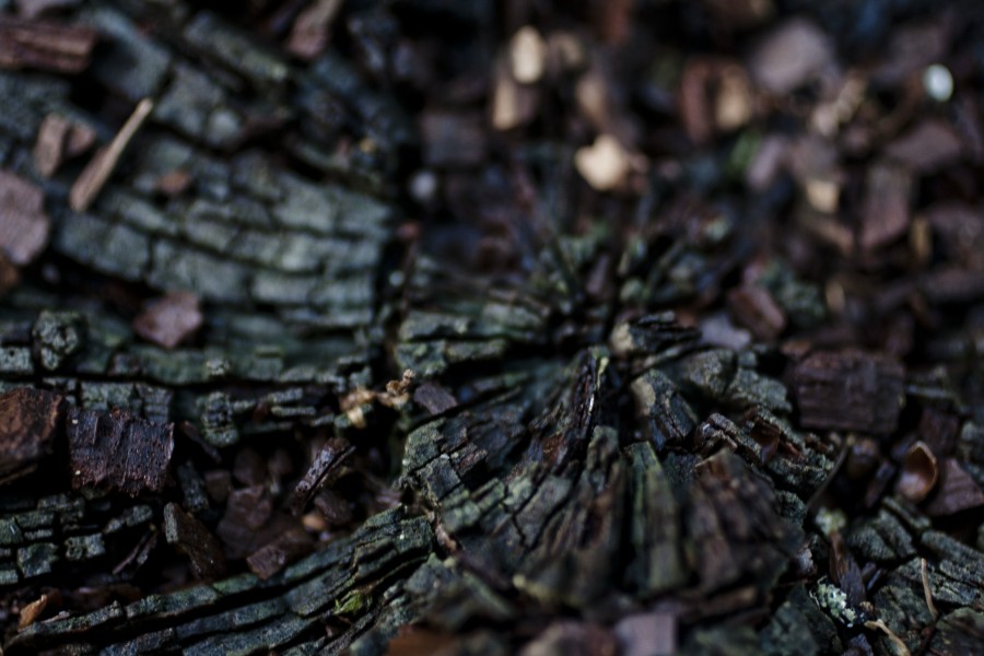 madera, arbol, background, fondo, textura, 