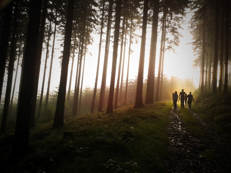 bosque, naturaleza, viaje, viajar, vacaciones, grupo, gente, atardecer, amanecer, dia, actividad, caminar, trekking, deportes, 
