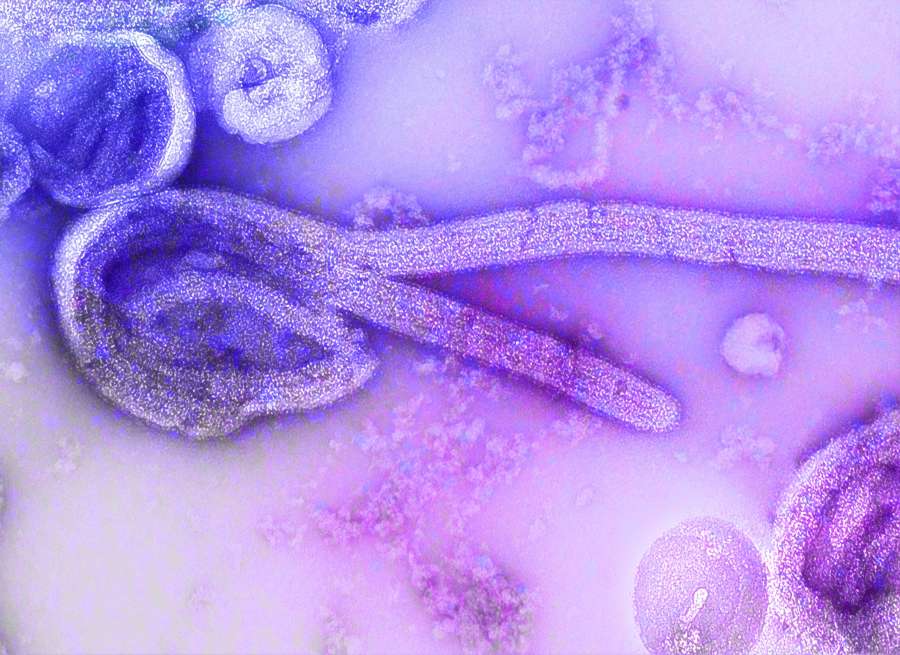 fondo, azul, ilustración, diseño, ciencia, medicina, científico, médico, salud, biología, decoración, blanco, patrón, genética, virus