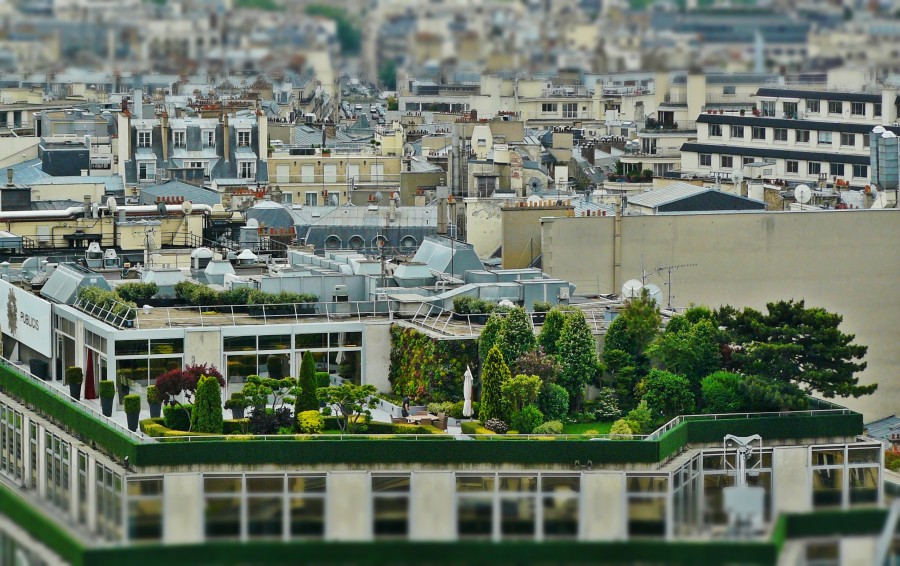 terraza, ciudad, arquitectura, urbano, paisaje urbano, techo, jardin, arboles, tilt shift, 