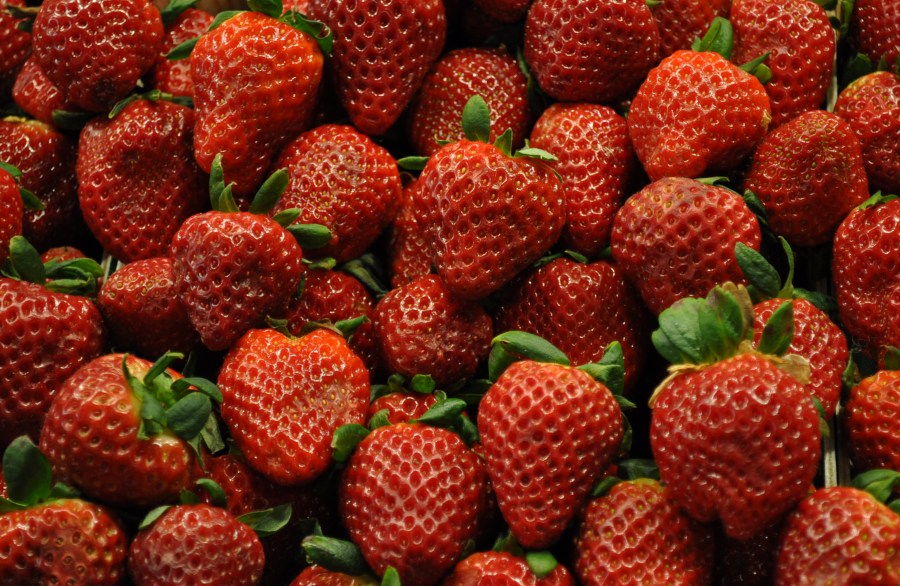Frutilla, Frutillas, Rojo, comidas, Fruta