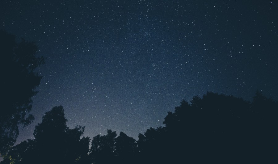 noche, anochecer, paisaje, estrella, estrellas, oscuro, oscuridad, nocturno, bosque, cielo, cosmos, 