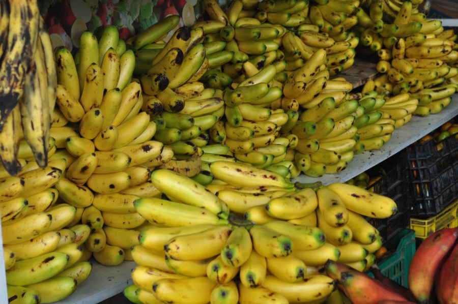 frutas, frutas, banana, bananas, platano, platanos,