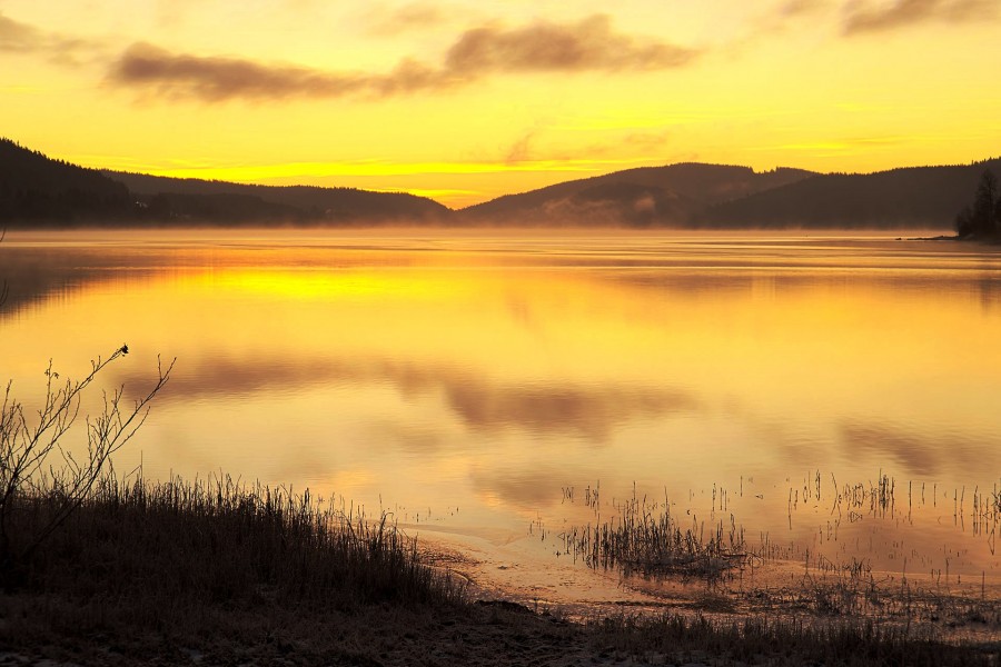 niebla, neblina, lago, atardecer, amanecer, alemania, europa, dia, paisaje, Schluch, 