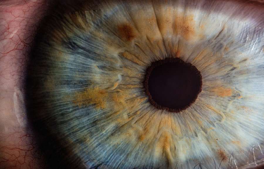 ojo, iris, pupila, mirar, ver, lente, visión, globo ocular, hipnotizar, ilustración, retina, abrir, vista, anatomía, grande