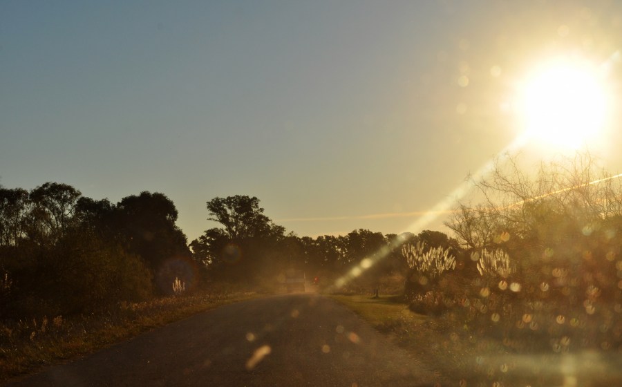 Atardecer, Ruta, Sol, Camino, Campo, Campestre, tomas jofre