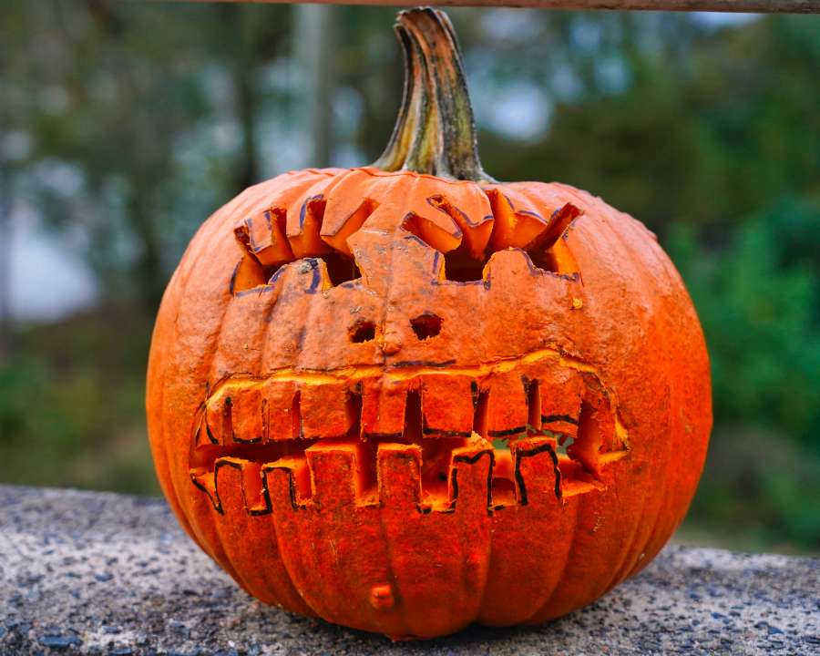 Halloween, fiesta, calabaza, horror, aterrador, linterna, celebración, fondo, escalofriante, símbolo, decoración, otoño, mal, cara, naranja, aislado, sonreír, lindo, gracioso, divertido, diseño, octubre, sonriendo, jack, miedo, temporada, brillante, oscuro, vector, tratar, blanco, truco, tradicional, ligero, amarillo, vela, objeto, squash, tallado, tarjeta, icono, vegetal, ilustración, fantasma, feliz, noche, emoción, comida, resplandor, iluminado