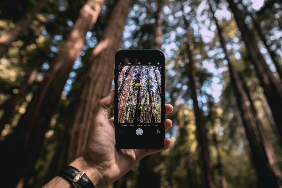 fotografia, smartphone, phone, foto, tomar, vacaciones, bosque, exterior, dia, hombre, aventura, arbol, arboles, viaje, naturaleza, paisaje, belleza, 