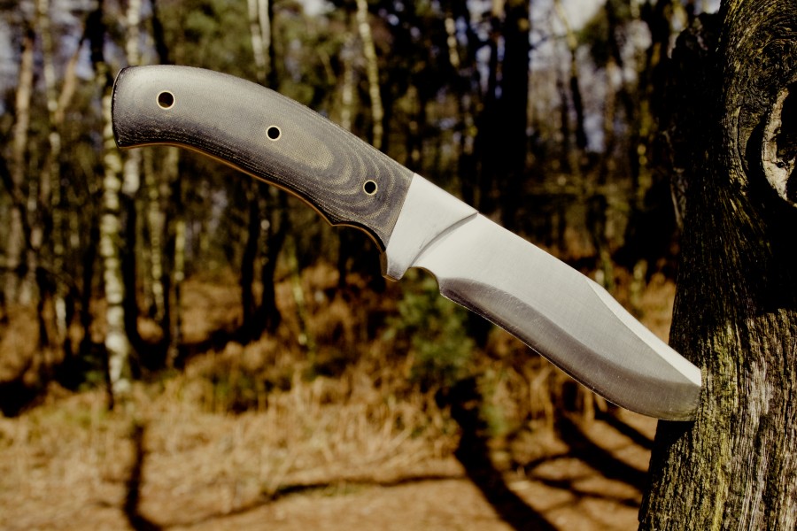concepto, punteria, presicion, arbol, navaja, cuchillo, filo, 