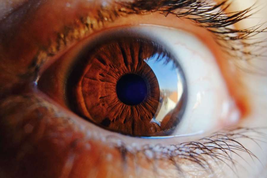 ojo marrón, lente del ojo humano, macro ojo, marrón, ojo, lente, macro, con, fondo, hermosa, parpadeo, parpadea, círculo, limpiar, cerrar, primer plano, color, oscuro, detalle, globo ocular, pestaña, ojos, vista