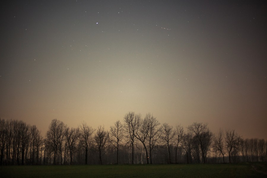 bosque, exterior, naturaleza, atardecer, ocaso, noche, nocturno, cielo , paisaje, arboles, 