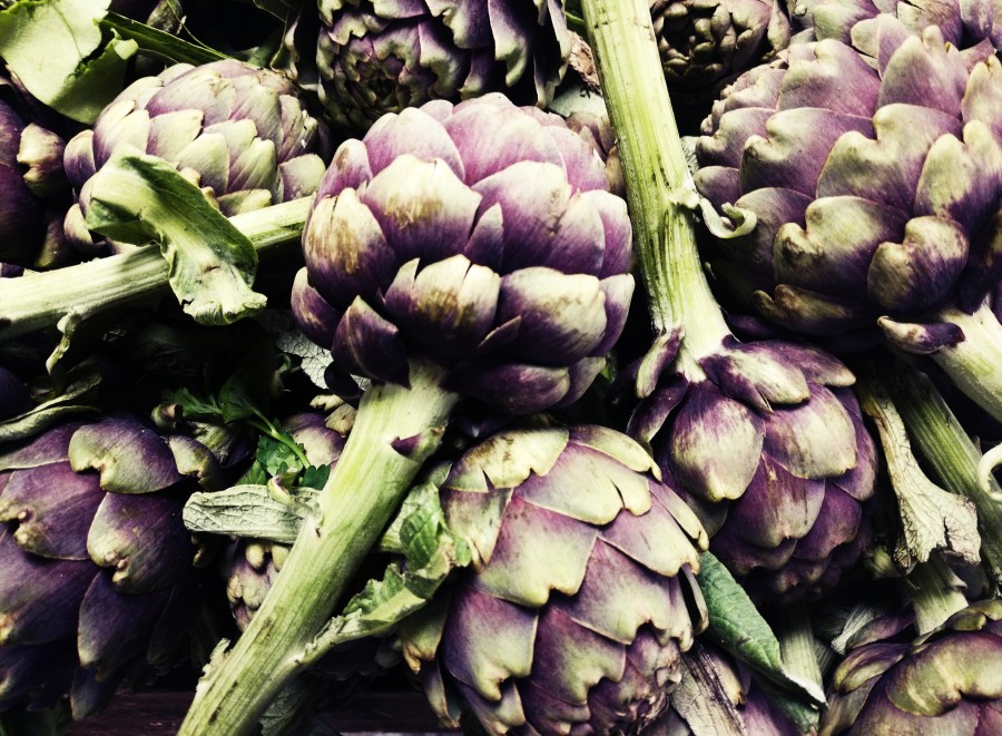alcaucil, alcauciles, alcachofa, verduras, comida sana, orgánico, verduleria, verduras, nutrientes, vegetales, vegetal 