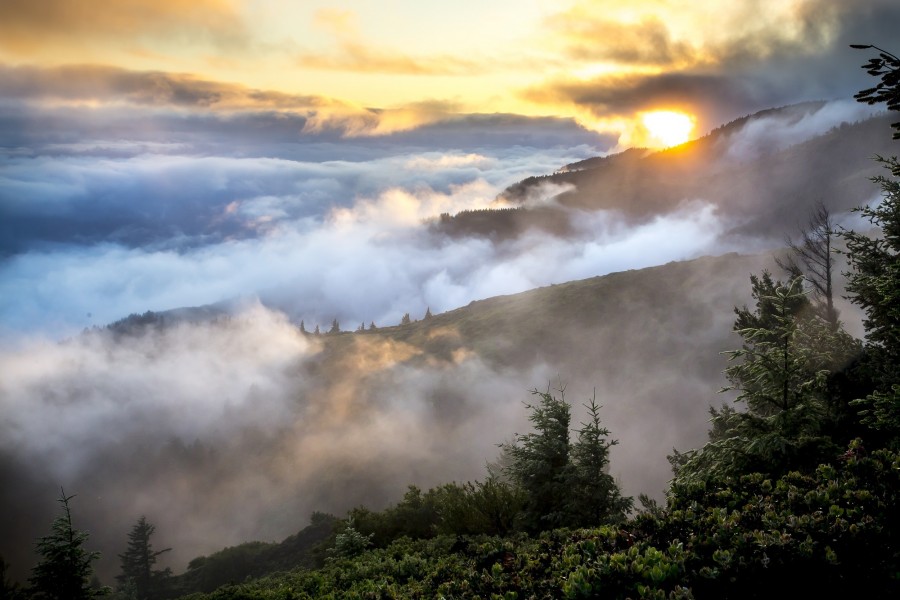 atardecer, ocaso, puesta de sol, amanecer, bruma, niebla, montaa, montaas, paisaje, dia, bosque, 