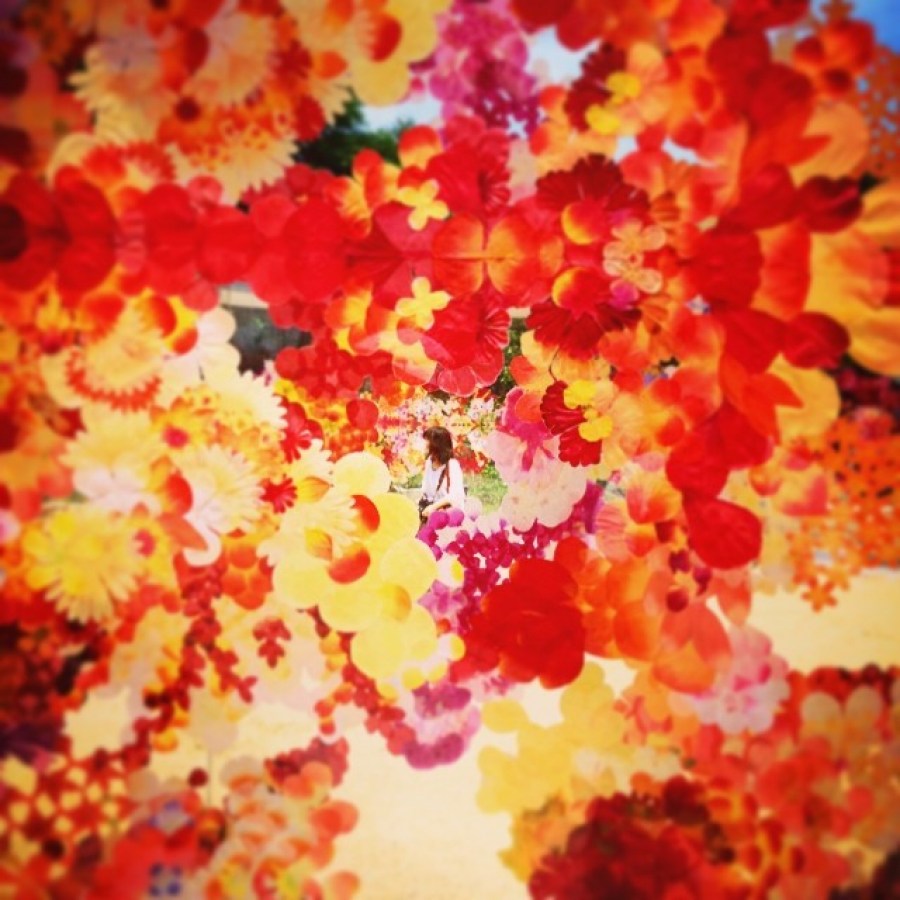 atardecer, fondo, background, otoño, hoja, hojas, rojo, rojizo, color, colores, naturaleza, nadie, arbol, 