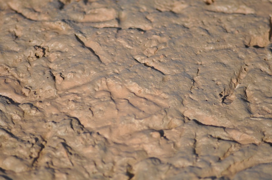 Textura,Texturas,tierra,Seca,quebradizo,cuarteada,Arido,Terreno,Marron,Agrietado,Paisaje Arido,Fondos,Sequia
