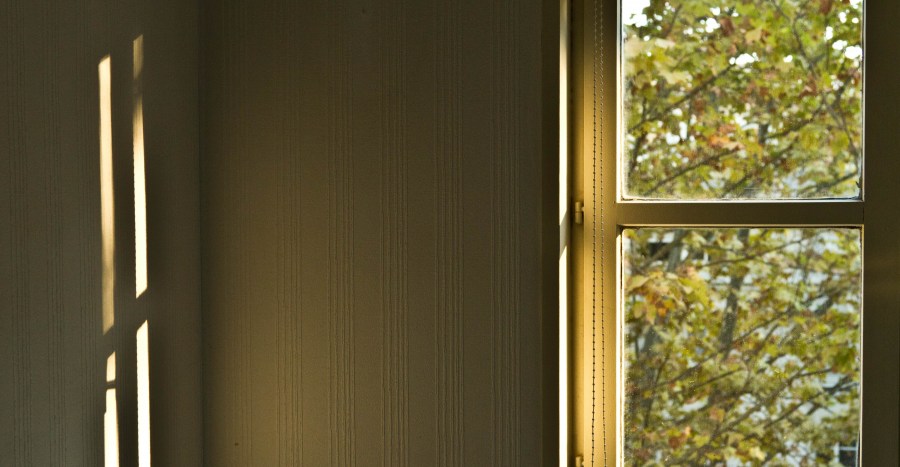 Ventana, interior, habitacion, dia, maana, despertar, arbol, primavera, nadie, fondo, 