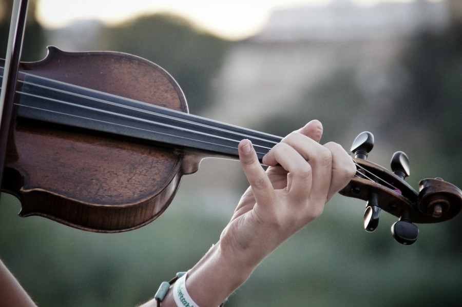 violin, musica, una persona, instrumento, cuerda, cuardas, tocar, interpretar, 