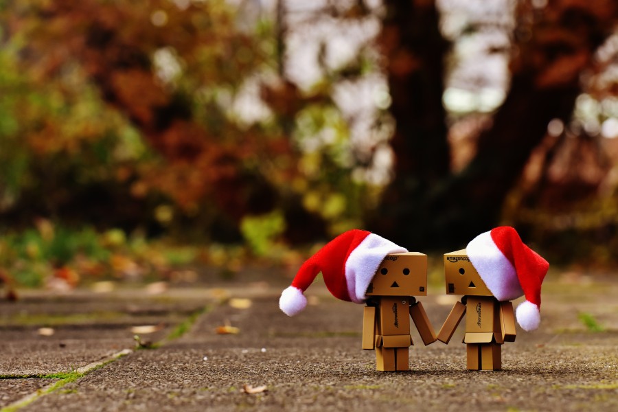 danbo, navidad, figura, juntos, en la manos, amor, el amor, unión, para dos personas, gracioso, cifras, amistad, día de san valentín, conectividad, dulce, sombrero de santa, la navidad, abetos, la nieve, lindo, advenimiento, contemplativo, contemplación, festival, banner, regalos, enviar, paquetes, hecho