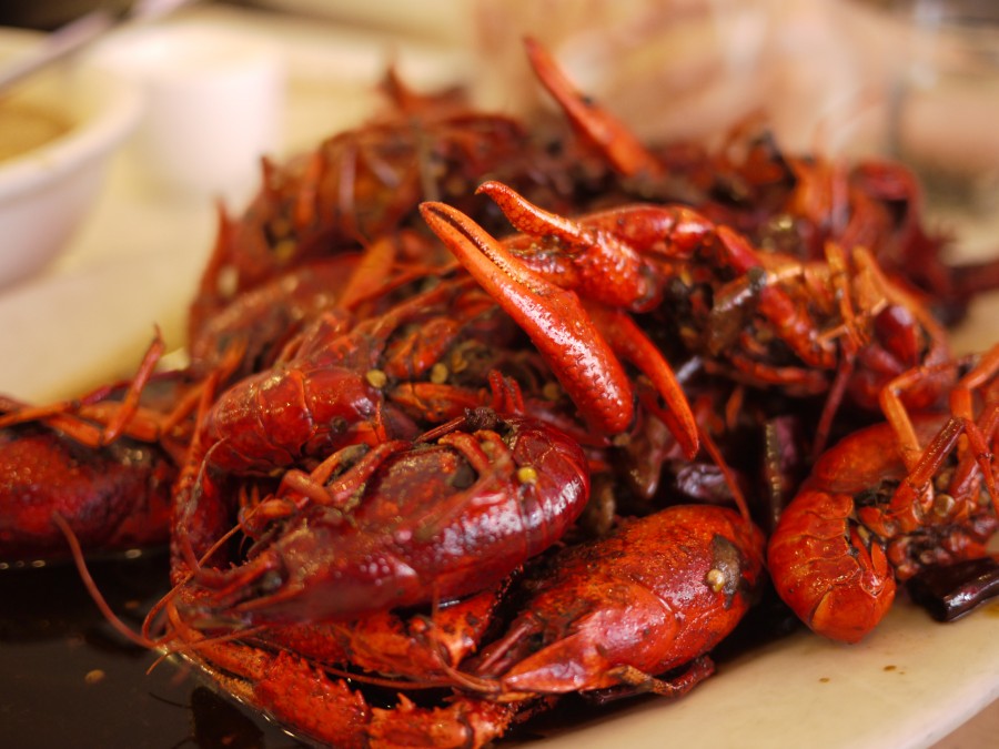 comidas, camaron, camarones, pinza, tenaza, frutos de mar, crustaseo, plato, gourment, alimento, 