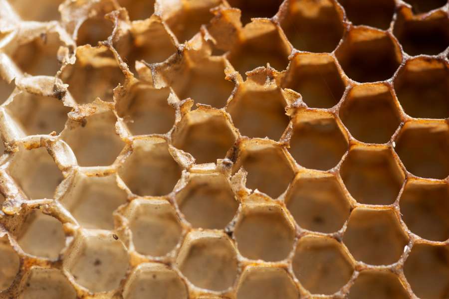 cera de abejas, miel, cera, naturaleza, abeja, celular, panal, apicultura, apiterapia, natural, propóleos, rural, ingrediente, producto, orgánico, hexágono, peine, racimo, colmena, nutrición, saludable, dulce, vacío, fotograma completo, textura macro, primer plano, detalle, forma,
