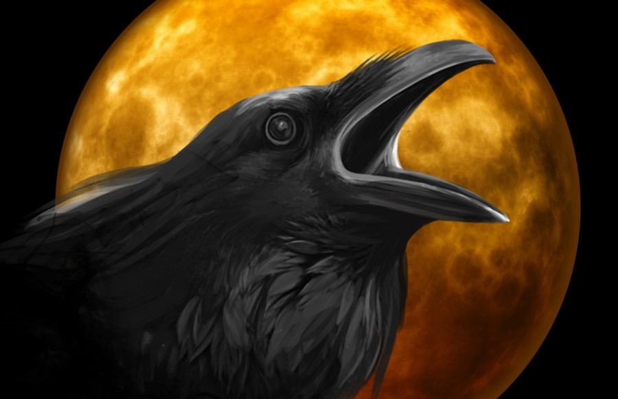 cuervo, ilustracion, halloween, terror, miedo, 