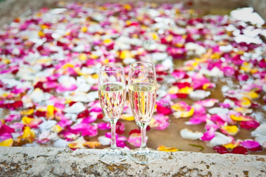 Brindis, copa, copas, cristal, celebracion, pareja, celebrar, aniversario, amor, Concepto, petalo, petalos, colorido, dos, festejo, alegria, bridar, champagne, bebida alcoholica, 