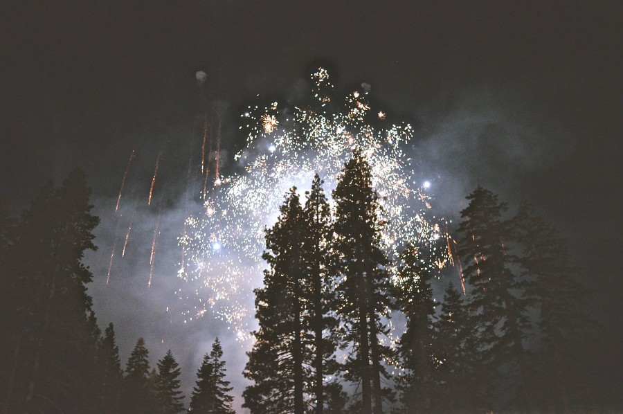 fuegos artificiales, festejo, celebracion, nadie, noche, bosque, 