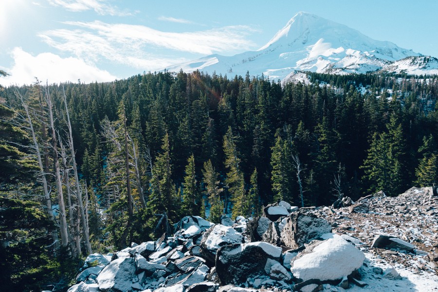 bosque, paisaje, dia, exterior, naturaleza, nieve, montaña, nevado, pino, pinos