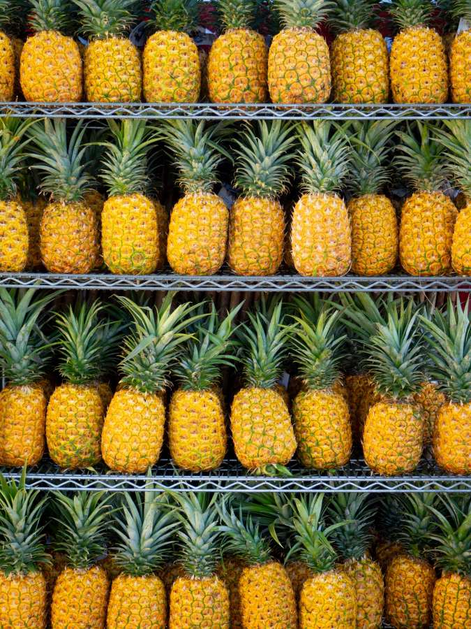 Fresco, fruta, dulce, comida, saludable, piña, fondo, maduro, tropical, jugoso, vitamina, crudo, blanco, amarillo, primer plano, natural, corte, orgánico, dieta, postre, nutrición, exótico, sabroso, verde, ananas, conjunto, delicioso, objeto, verano, diseño, conjunto, frescura, color, hoja, salud, vegetariano, hojas, pieza, patrón, grupo, vegano, segmento, textura, muchos
