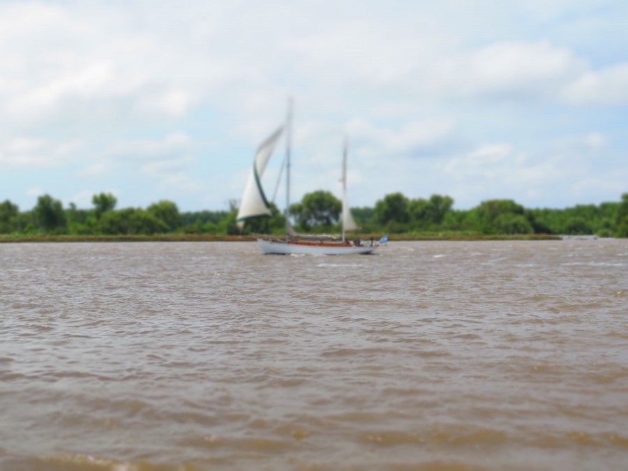 velero, rio, costa, navegar, america latina, argentina, buenos aires, barco, vela, viento, 